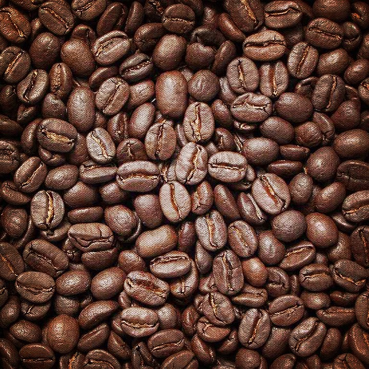 Uncovering the Origins of Your Morning Cup of Coffee